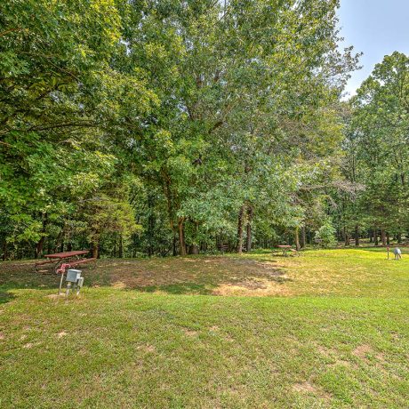 large grassy clearing surrounded by trees with picnic table